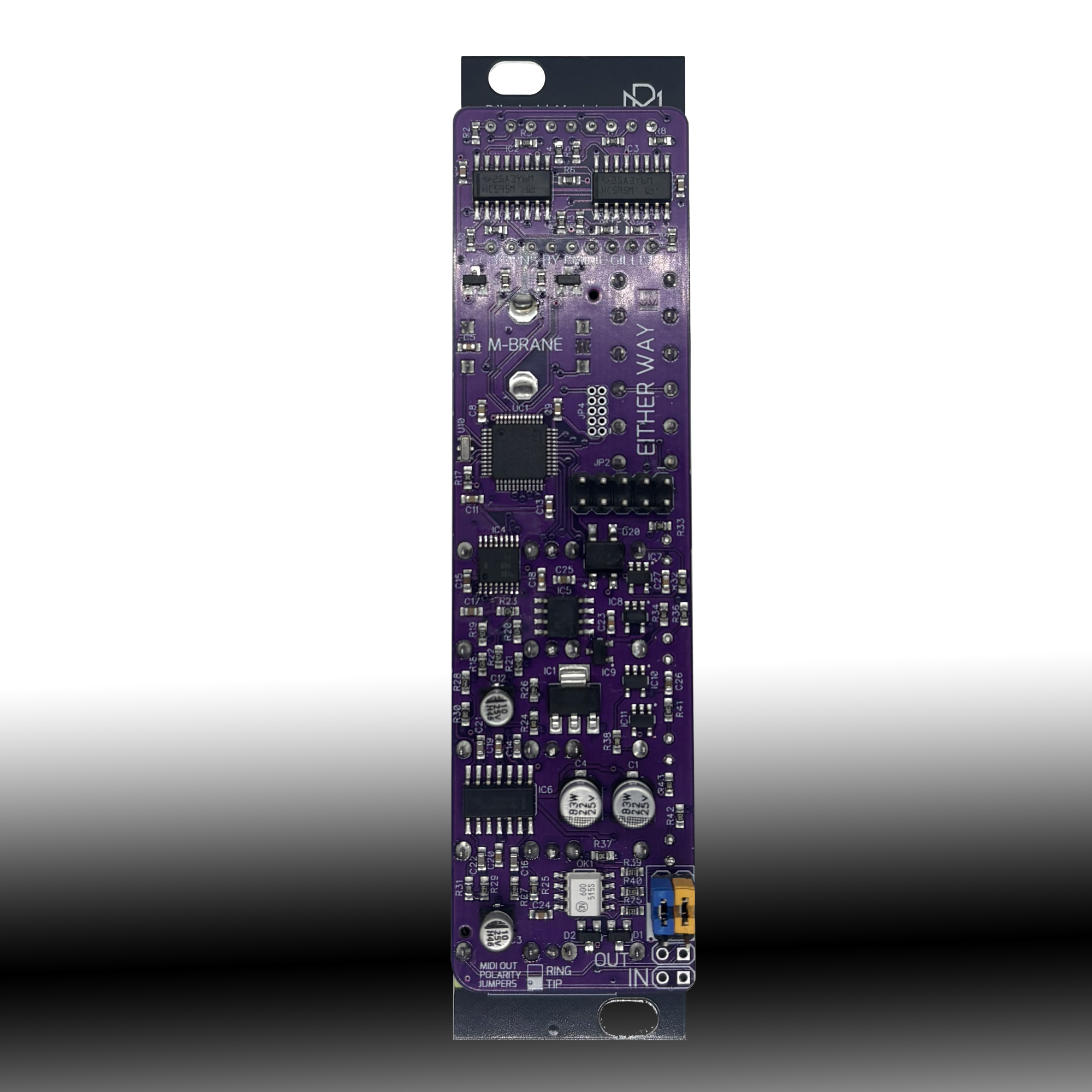 mBrane V1.2 /// Mutable Instruments Eurorack Module /// Yarns Clone /// Black Panel - Image 2